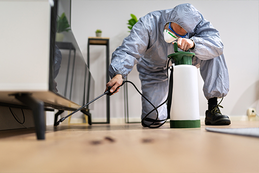 看見蟑螂不用怕，四步簡單